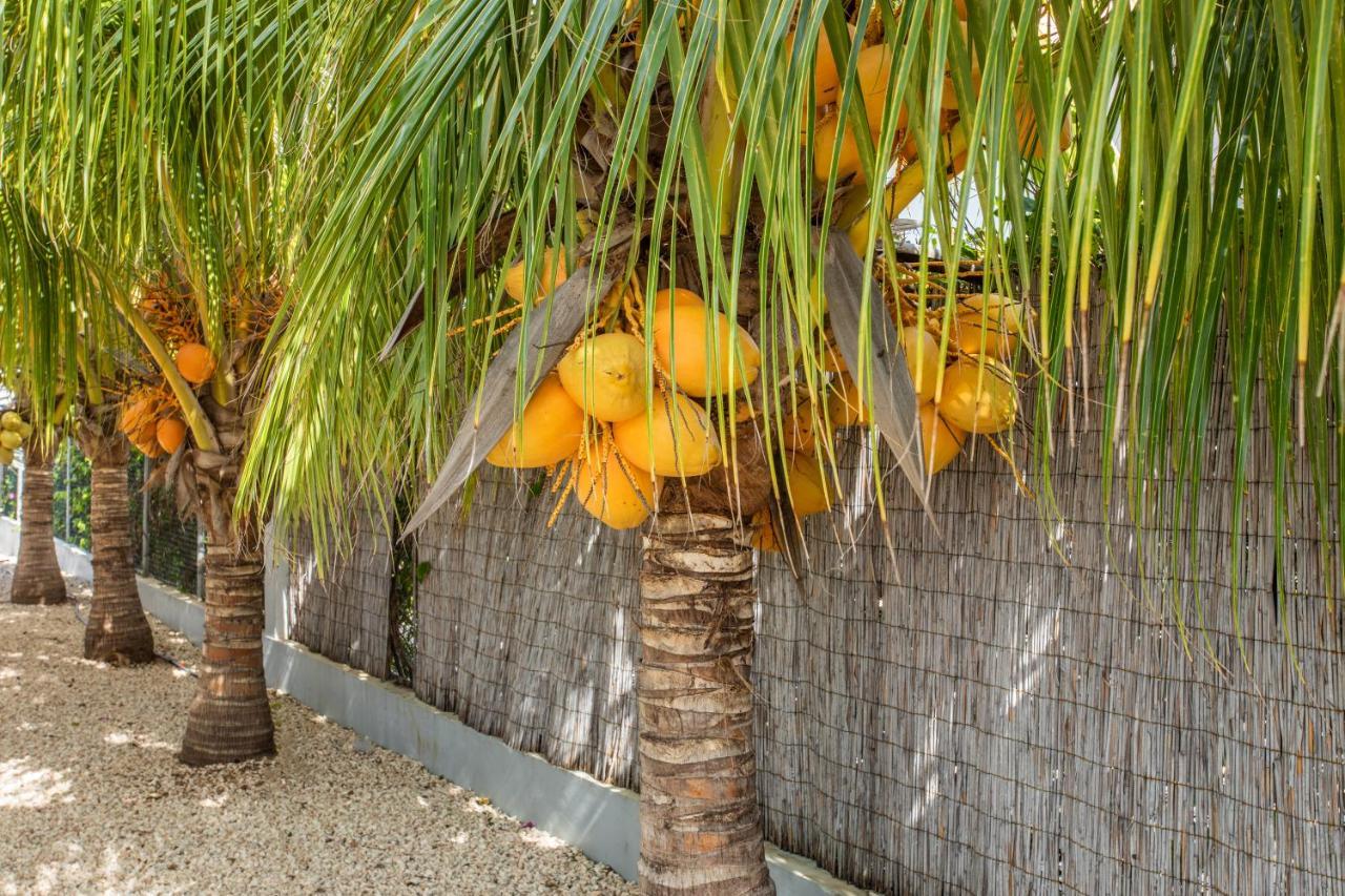 Paradise Apartments - Curacao Fontein Экстерьер фото
