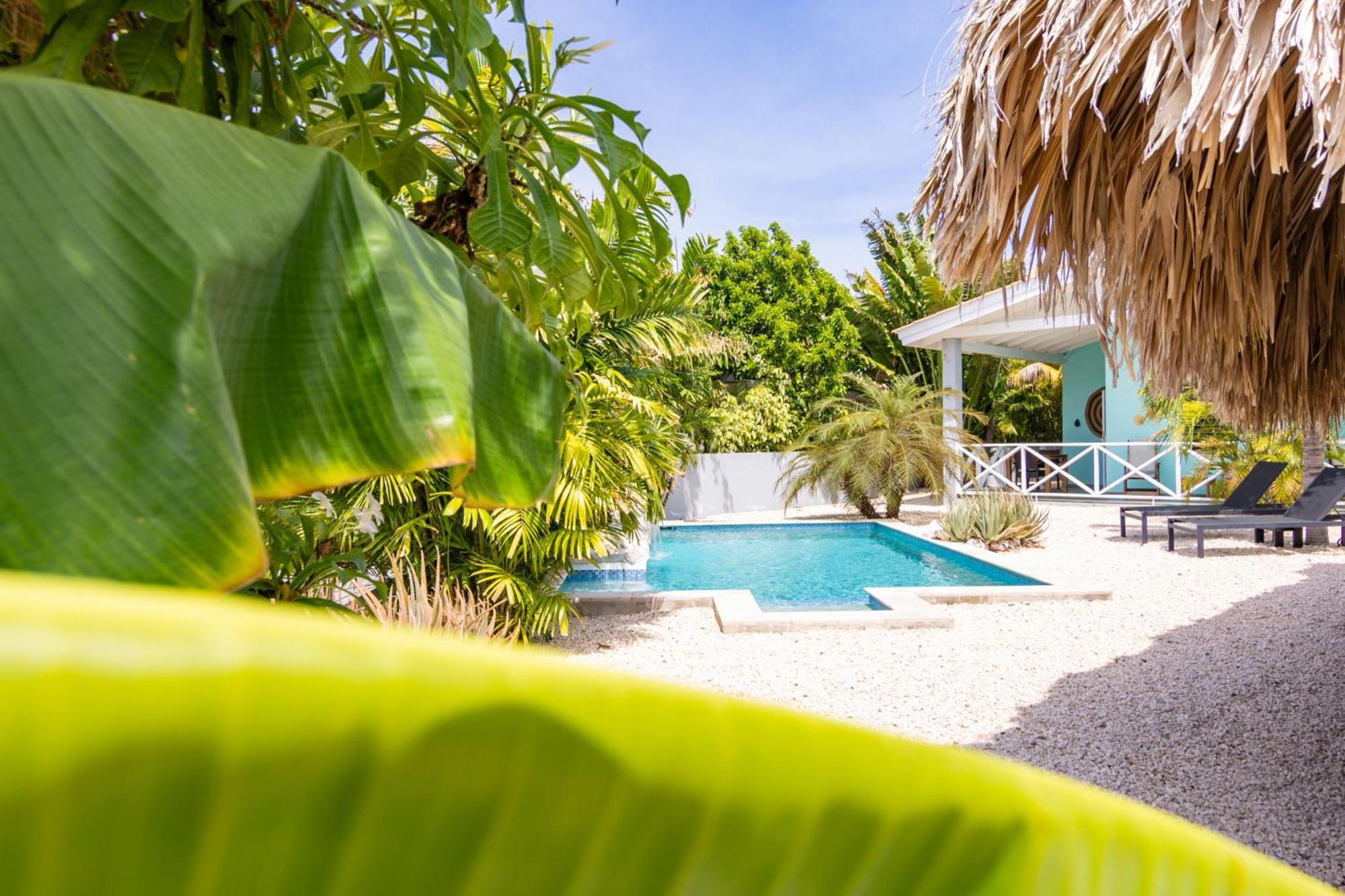 Paradise Apartments - Curacao Fontein Экстерьер фото