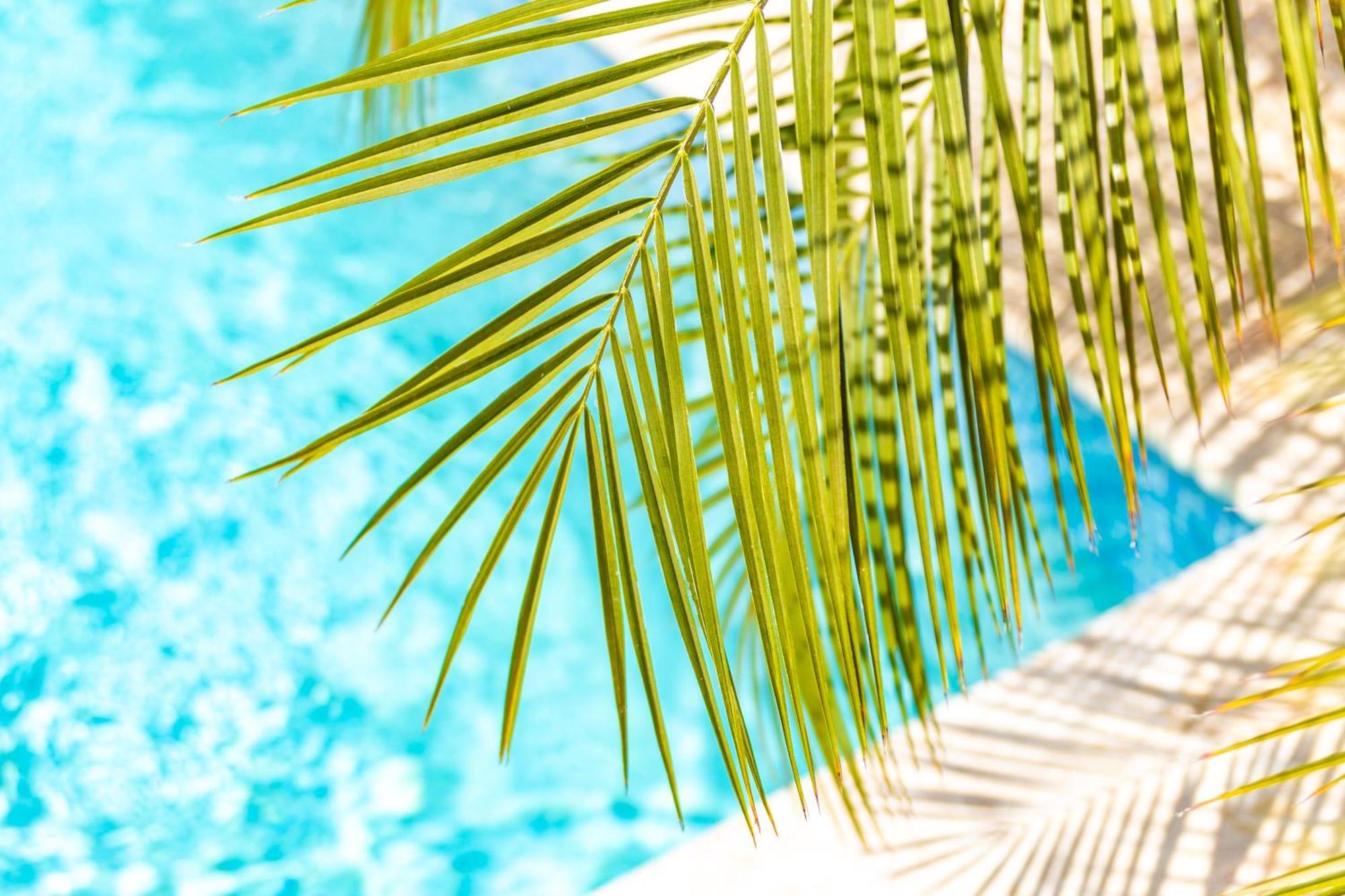 Paradise Apartments - Curacao Fontein Экстерьер фото